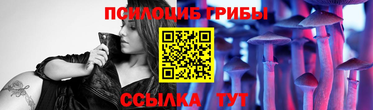 Псилоцибиновые грибы мухоморы Камень-на-Оби